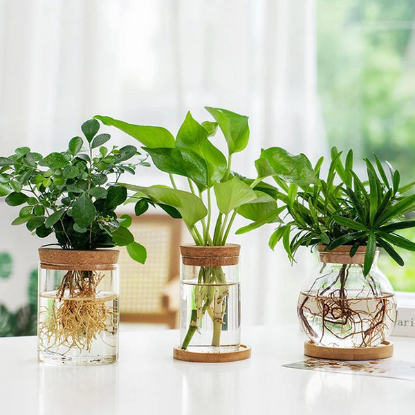 Hydroponic Plant Home Vase Decor